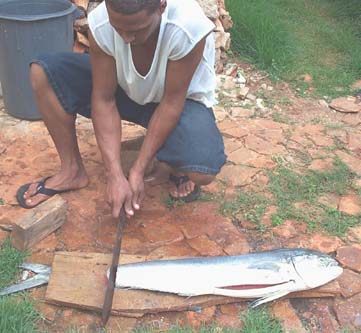 Fishing in Las Galeras
